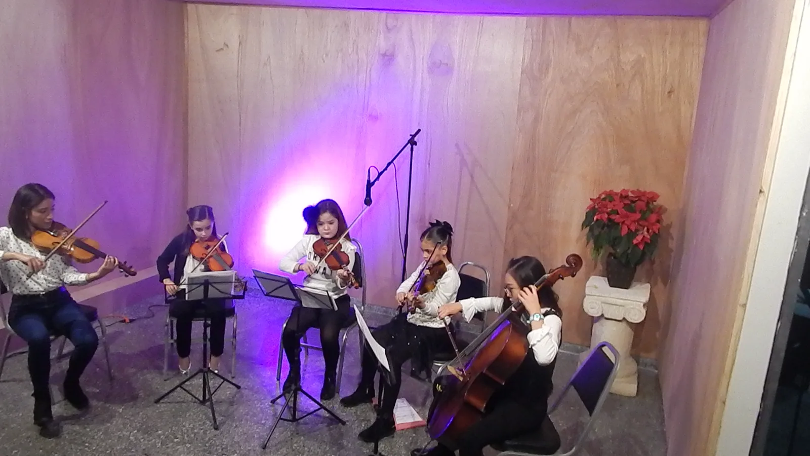 Ensamble de cuerdas ALMMA — violín y cello